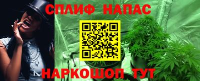 твердый Апшеронск