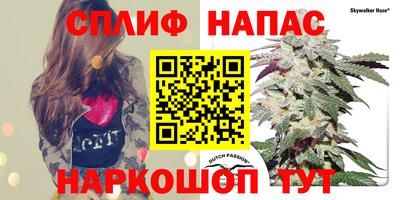 твердый Апшеронск