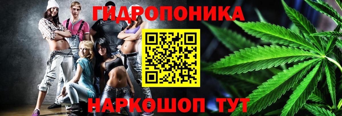 Богданович  Канабис Bruce Banner  Шишки марихуана конопля  Каннабис марихуана  Вход с VPN  Марихуана THC 21% 
